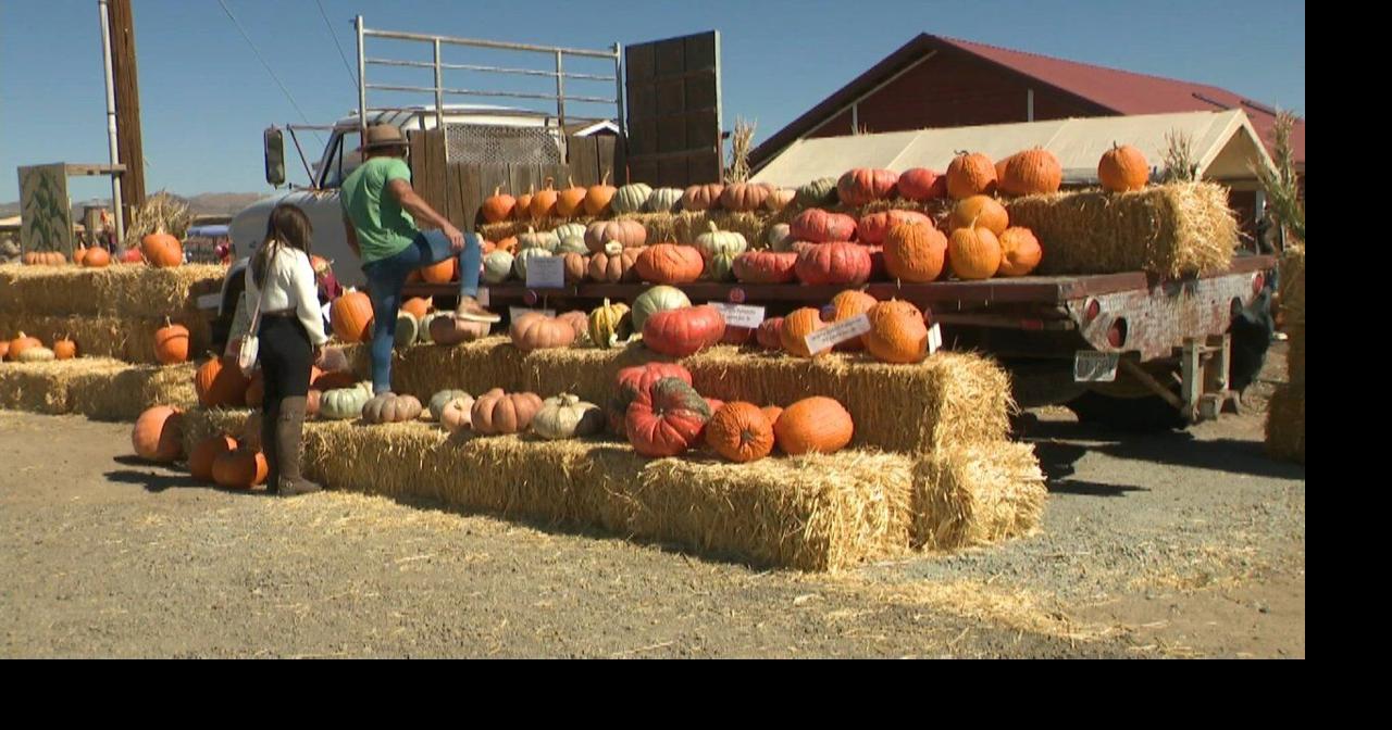 Opening Weekend Of Andelin Family Farm News