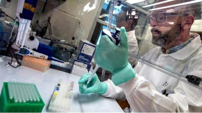 Polio investigated in lab
