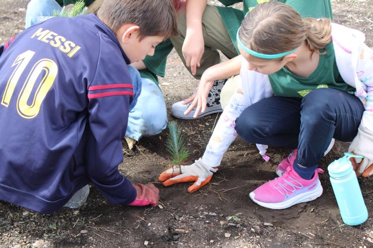 EVMS Students help Restore Davis Burn Area 1