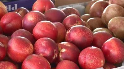 Farmers' Markets in Reno and Sparks