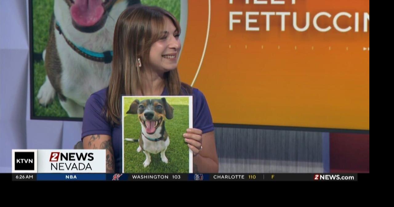 Pet of the Week: Fettuccini