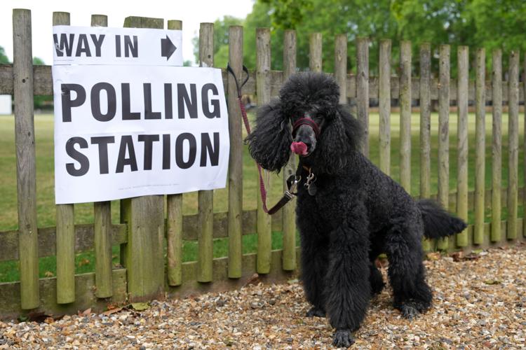 Britain Elections