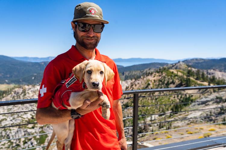 Palisades Tahoe New Avalanche Rescue Dog - Meet Binny