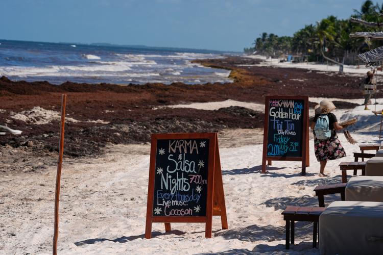 Mexico Sargassum