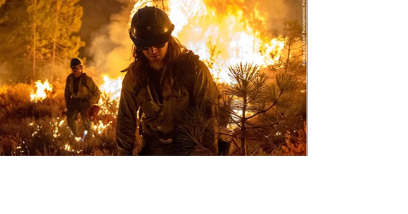 Investigators: Dixie Fire started by tree contacting PG&E power lines - Vimarsana News