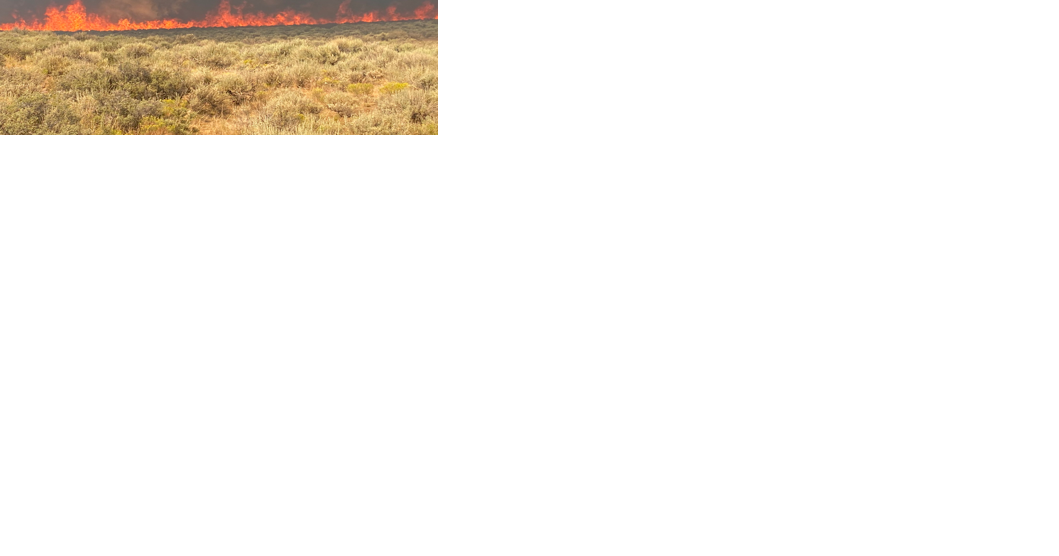 Wildfire Near Wells, Nevada grows to 14,200 Acres - Vimarsana News