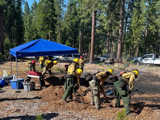 Sierra Campfire - 1