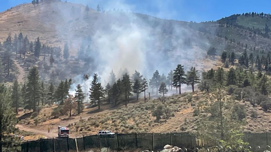 Pinehaven fire area