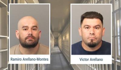 Brothers sentenced