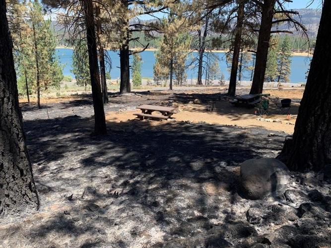 Wildfire Chars Frenchman Lake Campgrounds