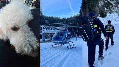 Dog and owner rescued by Care Flight