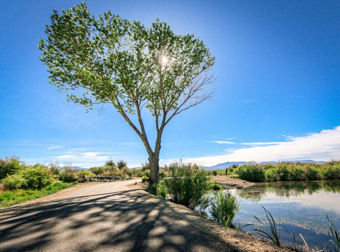 Slough Trail 2 (002).jpg