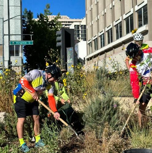 City of Reno tree event