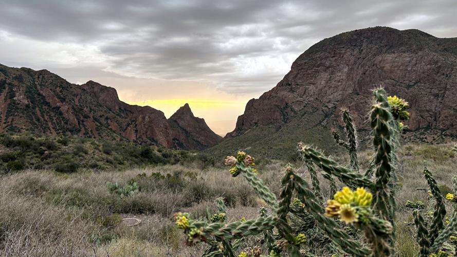 Immigration Border Wall Big Bend