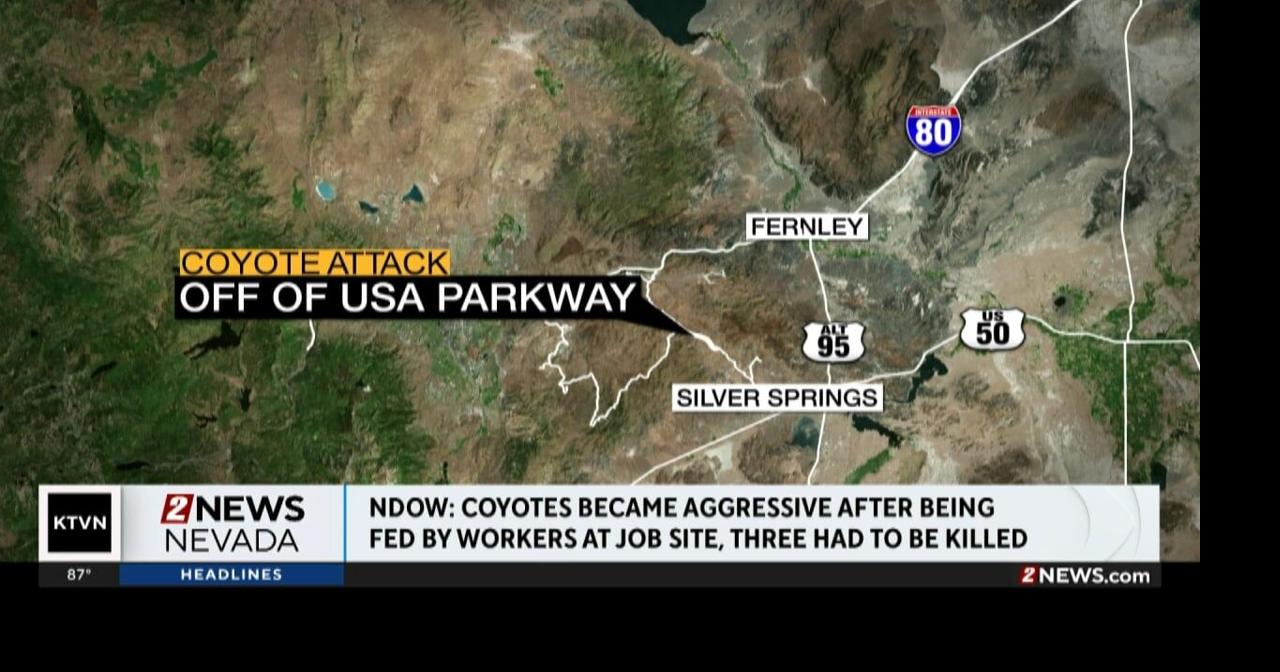 USA Parkway News: The Latest Updates and Developments