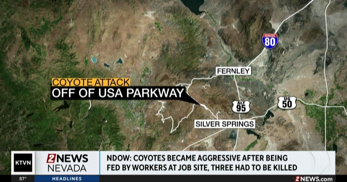 USA Parkway News: The Latest Updates and Developments USA Parkway News: The Latest Updates and Developments