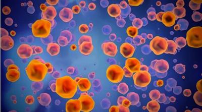 Nevada County Charter School Closed By Measles Case