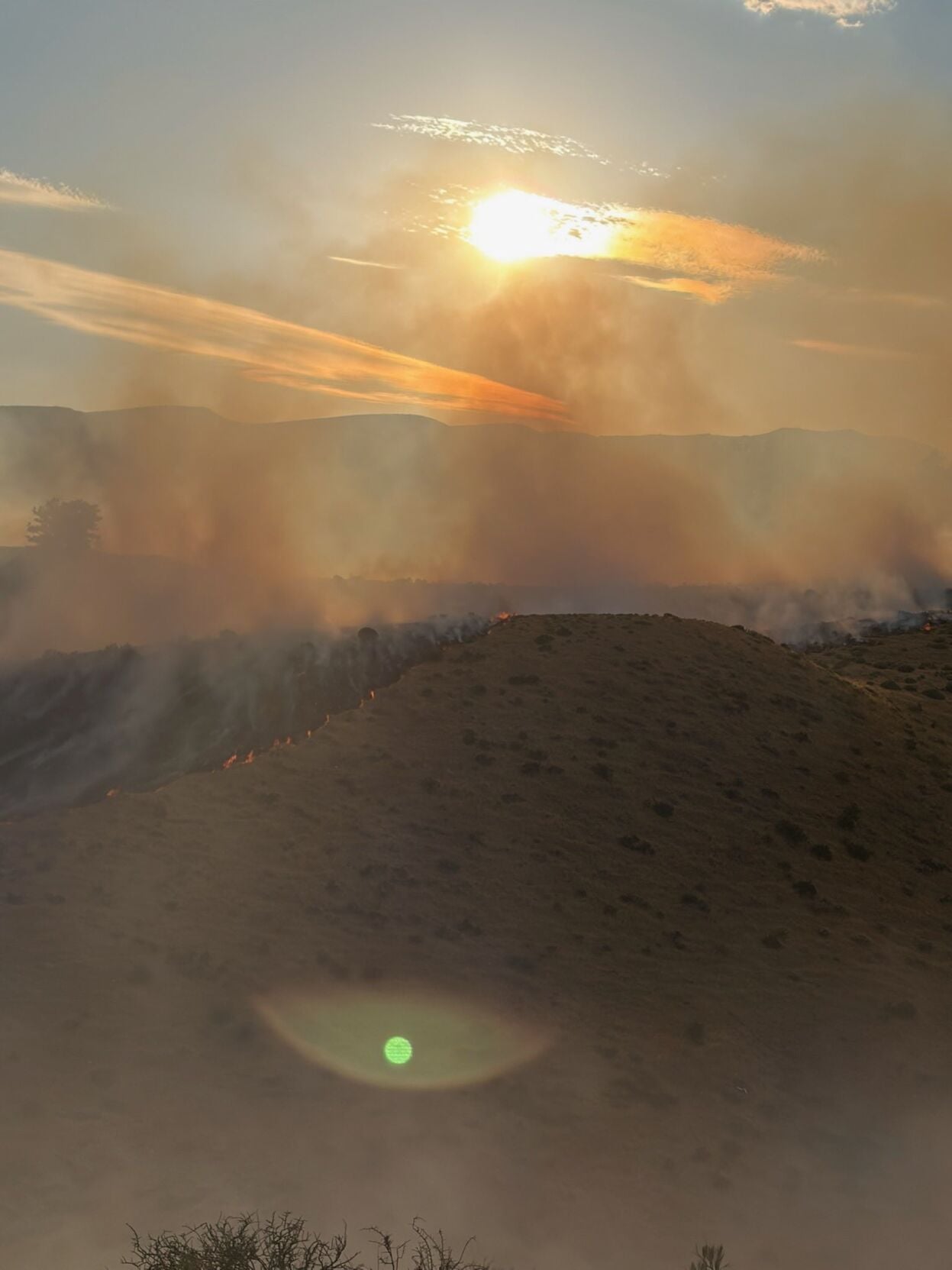 Moose Fire TMFR 2.jpeg