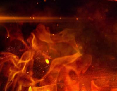 Brush Fire Near Sutro Street Quickly Knocked Down