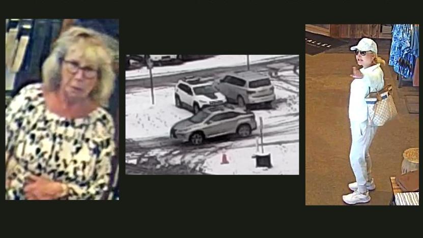 Placer County Shoplift 1