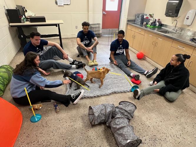 Nevada Wolf Pack Players Visit Nevada Humane Society For National Puppy Day