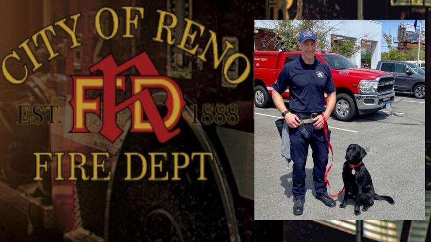 Reno Fire Arson Dog Boston 1 .jpg