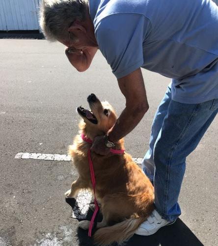Homeward Bound: Reno Dog and Owner Finally Reunited in New Zealand