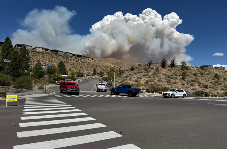 Hawk Fire Gavin pic