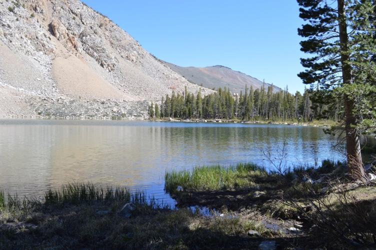 USFS 3.jpg