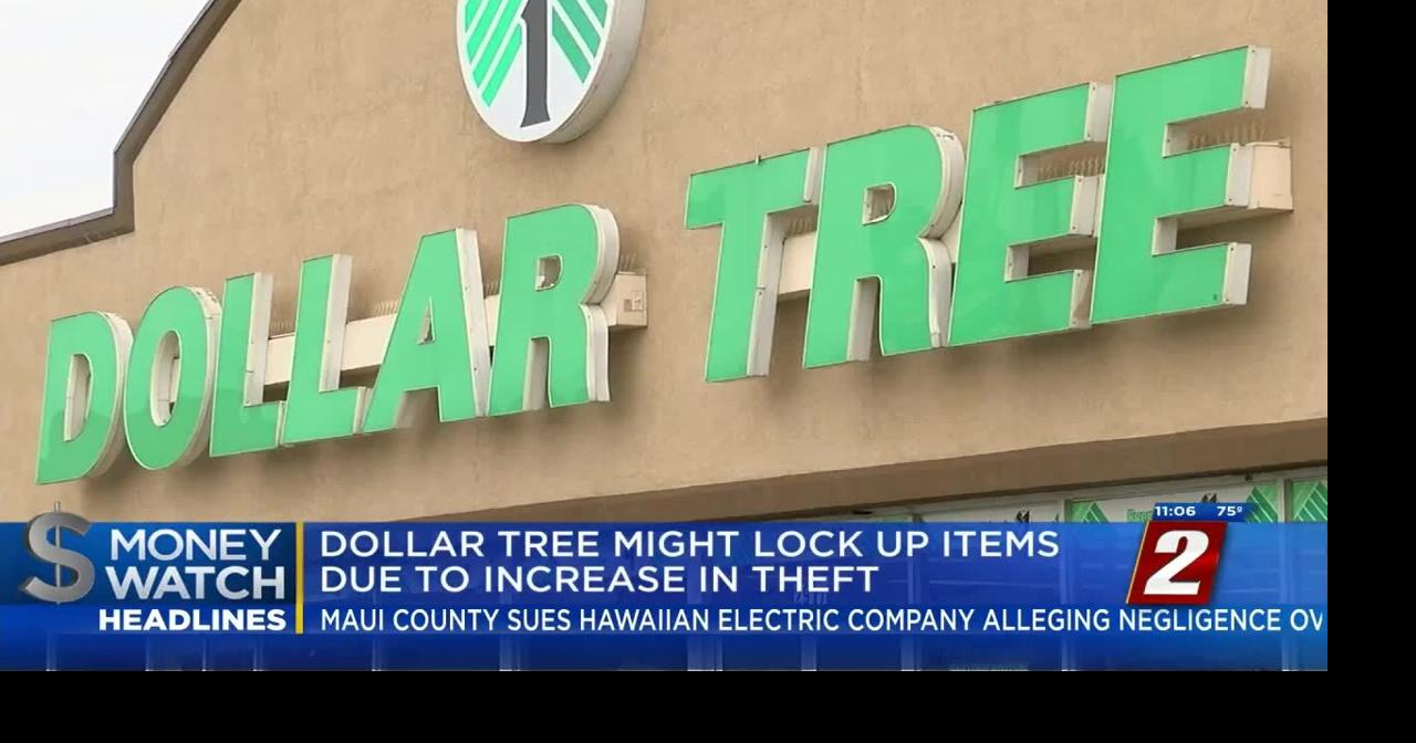 Dollar Tree Thefts Lead to 30 Drop in Profit Margins News