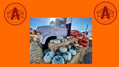 Andelin Family Farm Fall Festival .jpg