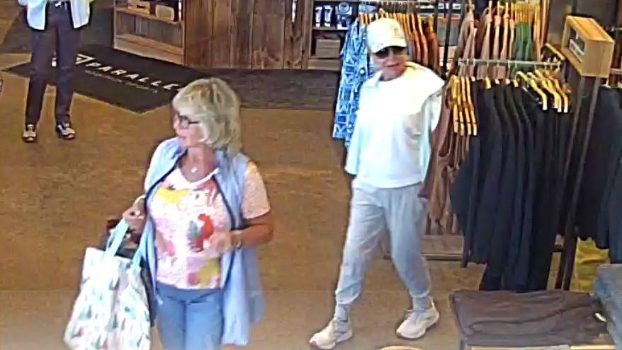 Placer County Shoplift 2