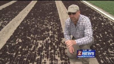 Someone 2 Know: Peri & Sons Farms