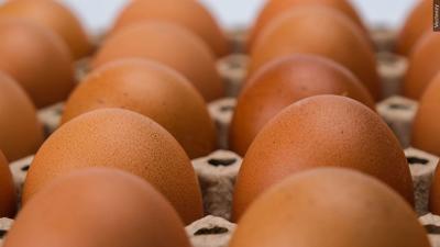 Salmonella outbreak linked to recalled eggs