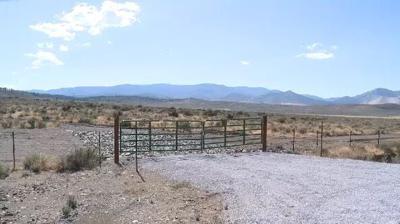 Future of Possible StoneGate Development Still Undecided