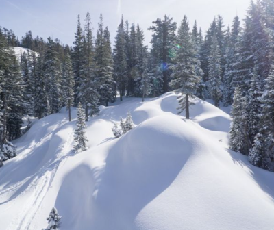 visit lake tahoe.PNG