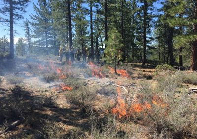 Prescribed Burn Underway Near Stampede Reservoir in Tahoe National Forest