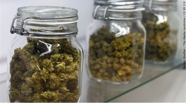 Marijuana in jars