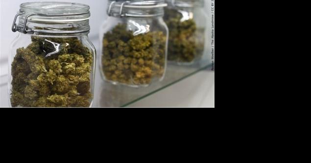 South Lake Tahoe awards $400,000 in cannabis revenue grant funds to non-profits - Vimarsana News