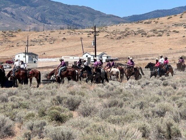 Reno Rodeo 2025 Cattle Drive - final trek to rodeo grounds 11