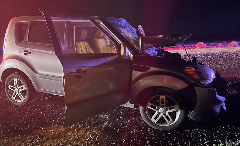 Car hit by horse