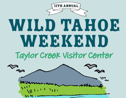 wild tahoe weekend