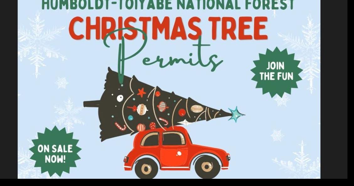 Online Christmas tree permits available for HumboldtToiyabe National