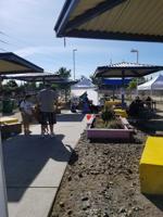 Final Free Pets of the Homeless Clinic of 2019