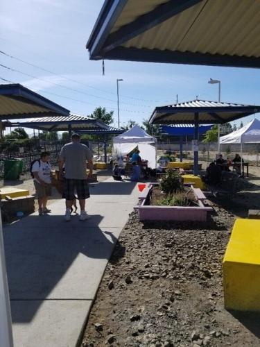 Final Free Pets of the Homeless Clinic of 2019