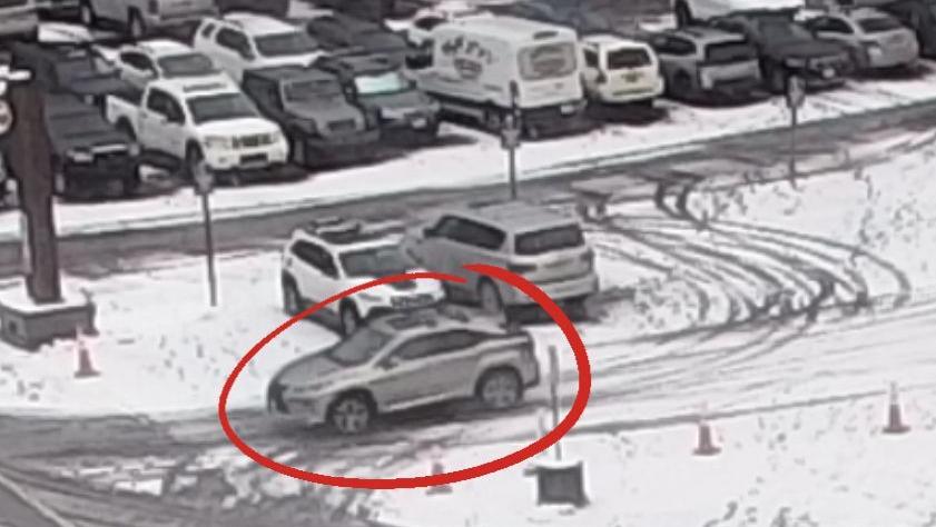 Placer County Shoplift 3