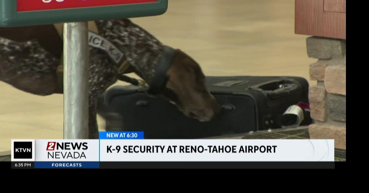 Reno-Tahoe Airport Prepares Busy Travel with K9 Unit