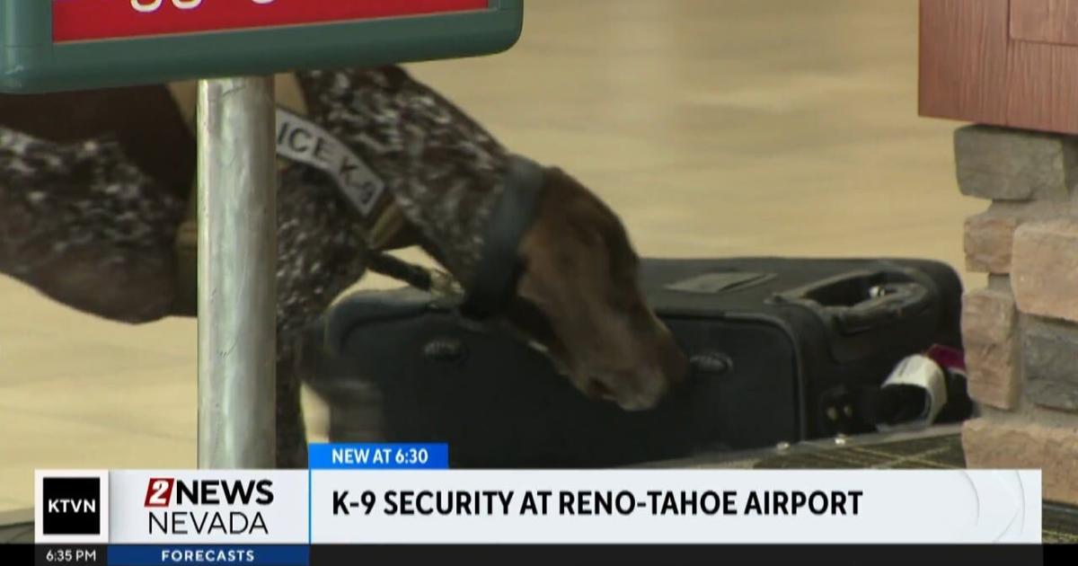 Busy Reno Reno-Tahoe International Airport Prepares Busy Travel With K9 Unit ...