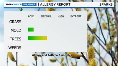 Allergy report
