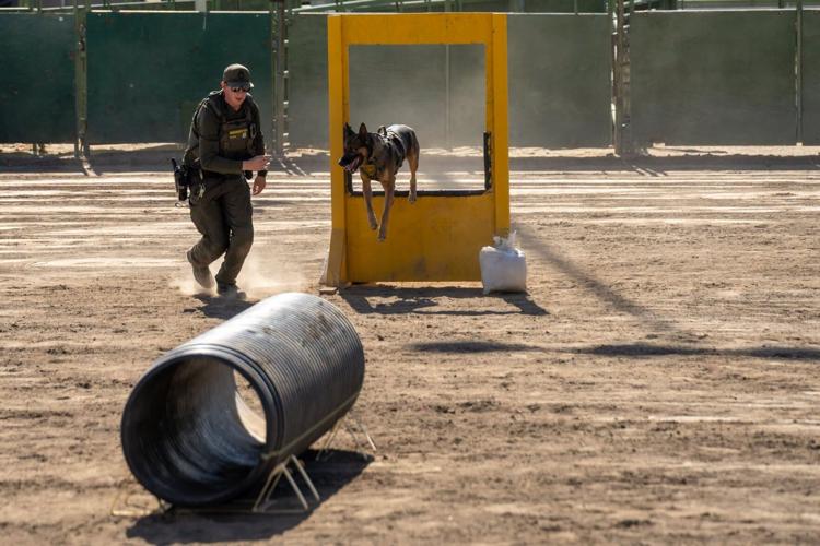 K9 challenge 2